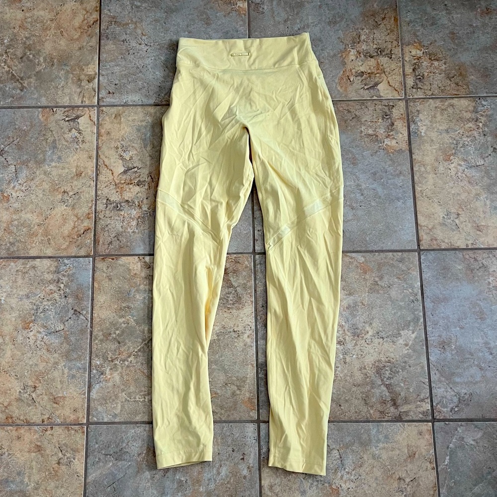 Gym shark X Whitney Simmons leggings